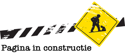 in constructie