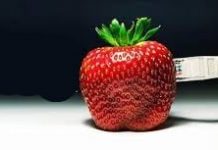 Internetul cântărește cât o căpșună internetul cantareste cat o capsuna