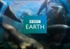BBC Earth va iesi din grila de programe Digi iar Film Now va costa 3 lei pe luna pentru toti abonatii BBC Earth va iesi din grila de programe Digi iar Film Now va costa 3 lei pe luna pentru toti abonatii