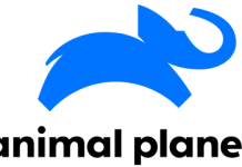 Animal Planet – cel mai cunoscut program din lumea animala Animal Planet - cel mai cunoscut program din lumea animala