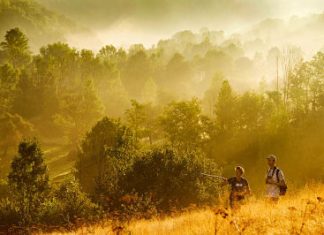 Renasterea Europei Salbatice pe Nat Geo Wild Renasterea Europei Salbatice pe Nat Geo Wild