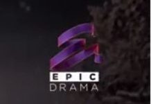 Sigle noi pentru Epic Drama si TV1000 Sigle noi pentru Epic Drama si TV1000