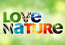 Lipsa subtitrare Love Nature Focus Sat Lipsa subtitrare Love Nature Focus Sat