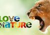 Love Nature HD a intrat in grila Orange cablu Love Nature HD a intrat in grila Orange cablu1