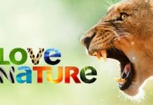 Love Nature HD a intrat in grila Orange cablu Love Nature HD a intrat in grila Orange cablu1