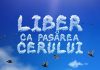 Antena Stars va difuza Liber ca pasarea cerului Antena Stars va difuza Liber ca pasarea cerului