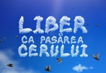 Antena Stars va difuza Liber ca pasarea cerului Antena Stars va difuza Liber ca pasarea cerului