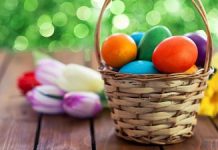 Program Paste Pro TV Antena 1 si Kanal D Program Paste Pro TV Antena 1 si Kanal D