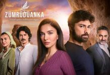 Pasarea de smarald / The Phoenix – in curand pe Kanal D Pasarea de smarald The Phoenix - in curand pe Kanal D