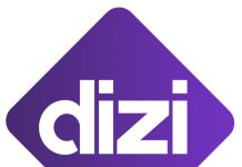 Aplicatia Dizi: pret si seriale Aplicatia Dizi pret si seriale