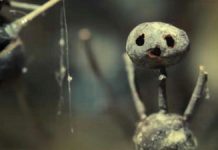 Omul de castane si Luna Park – seriale Netflix Omul de castane si Luna Park - seriale Netflix