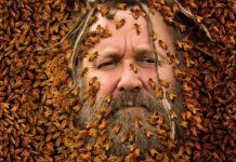 Regele Albinelor – Discovery Channel Regele Albinelor - Discovery Channel