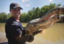 Cautatorul de monstri – premiera Viasat Explore Cautatorul de monstri - premiera Viasat Explore