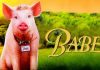 Pro Cinema difuzeaza Babe: Cel mai curajos porc din lume Pro Cinema difuzeaza Babe Cel mai curajos porc din lume