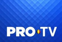 Campionatele de handbal interne se vad pe Pro TV si Pro Arena Campionatele de handbal interne se vad pe Pro TV si Pro Arena