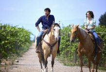 Un toast pentru dragoste / Drumul inimii mele – filme romantice DIVA Un toast pentru dragoste Drumul inimii mele - filme romantice DIVA