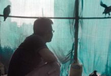 Documentarul All That Breathes este disponibil pe HBO Max Documentarul All That Breathes este disponibil pe HBO Max