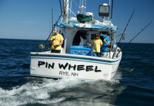 Istoria Mestesugurilor / La pescuit de ton – serii National Geographic Istoria Mestesugurilor La pescuit de ton - serii National Geographic