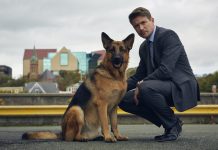 Hudson si Rex – un nou serial politist la TVR 2 Hudson si Rex - un nou serial politist la TVR 2