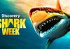Saptamana rechinilor la Discovery Channel Saptamana rechinilor la Discovery Channel