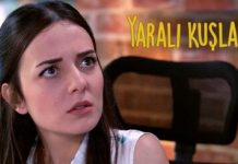 Pasari ranite se va vedea la Antena 1 Pasari ranite se va vedea la Antena 1