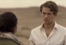 Agentul Hamilton – serial suedez Kanal D2 Agentul Hamilton - serial suedez Kanal D2