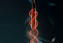 Cod criminal – va exista sezonul 2 pentru cel mai scump serial brazilian produs de Netflix? Cod criminal - va exista sezonul 2 pentru cel mai scump serial brazilian produs de Netflix