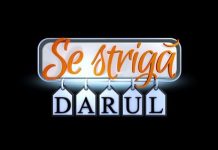 Se striga darul revine in grila Kanal D Se striga darul revine in grila Kanal D