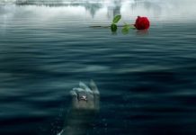 DIVA difuzeaza Un trandafir pe mormantul ei: Povestea lui Randy Roth DIVA difuzeaza Un trandafir pe mormantul ei Povestea lui Randy Roth