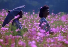 Culoarea purpurie / John Q – filme Warner TV Culoarea purpurie John Q - filme Warner TV