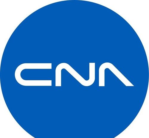 CNA: controale dure la televiziuni si platforme online CNA controale dure la televiziuni si platforme online